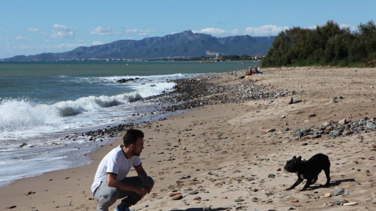 La nueva ordenanza permite a los perros acceder a las playas, en espacios acotados, también en verano.