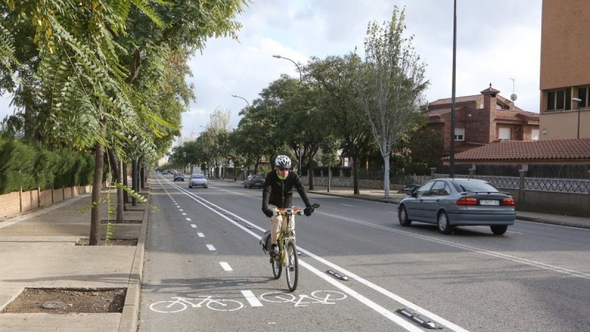 Un ciclista, pel carril bici de la carretera d'Alcolea, estrenat recentment.