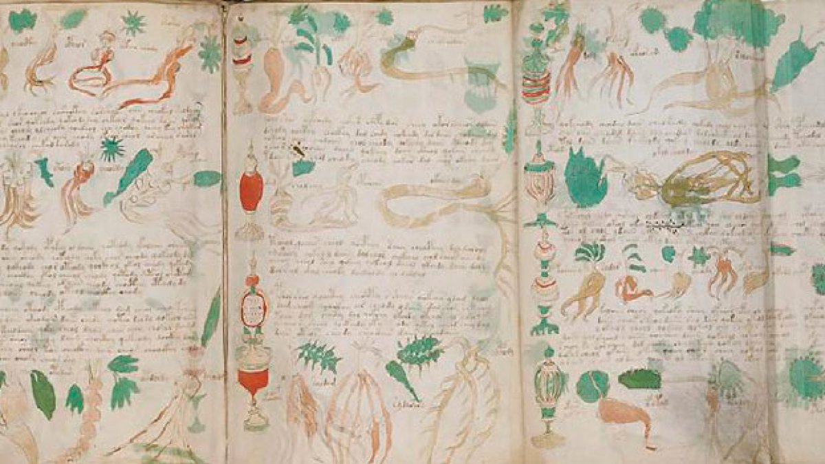Algunas páginas contienen dibujos de plantas desconocidas.