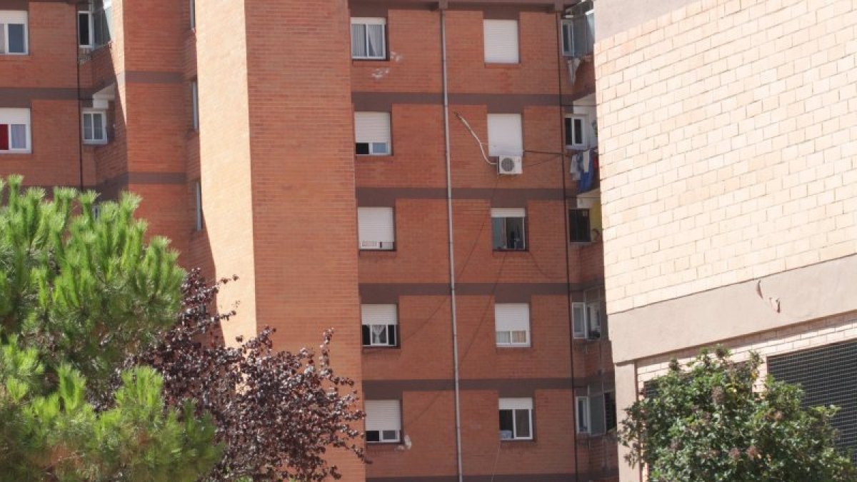 Cables de conexiones ilegales a la red sobre la fachada de un edificio en el barrio de Campclar.