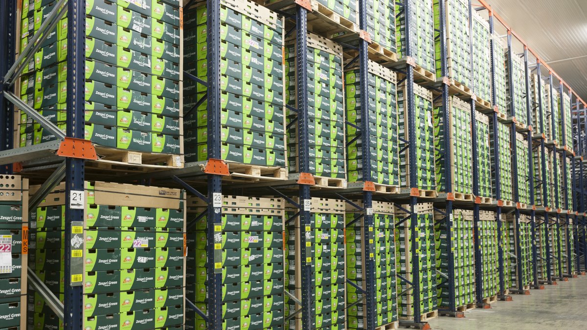 Les instal·lacions refrigerades ocupen una superfície de 20.000 metres quadrats.