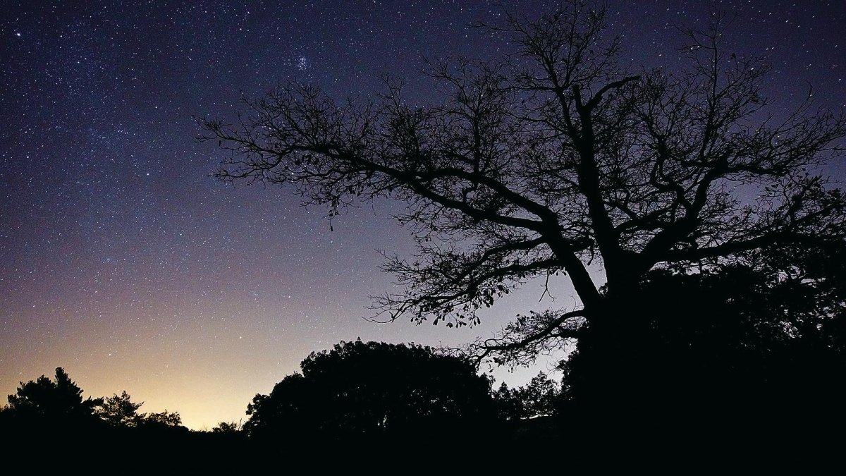 Pla de la Guàrdia, en Prades, donde está previsto levantar el observatorio astronómico en un plazo de dos años.