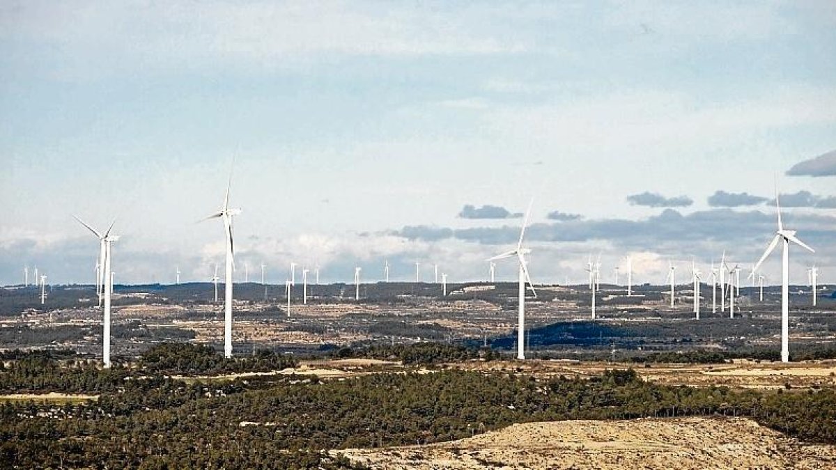 Imatge dels parcs eòlics de la Terra Alta, comarca que s’ha posicionat unànimement contra la massificació.