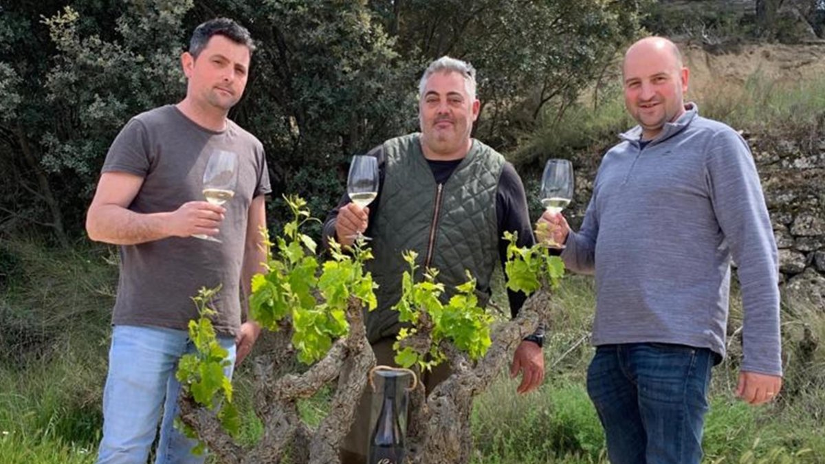 Artur Galcerà, Llorenç Vidal i Josep Maria Vaquer, amb el garnatxa blanca que han elaborat.