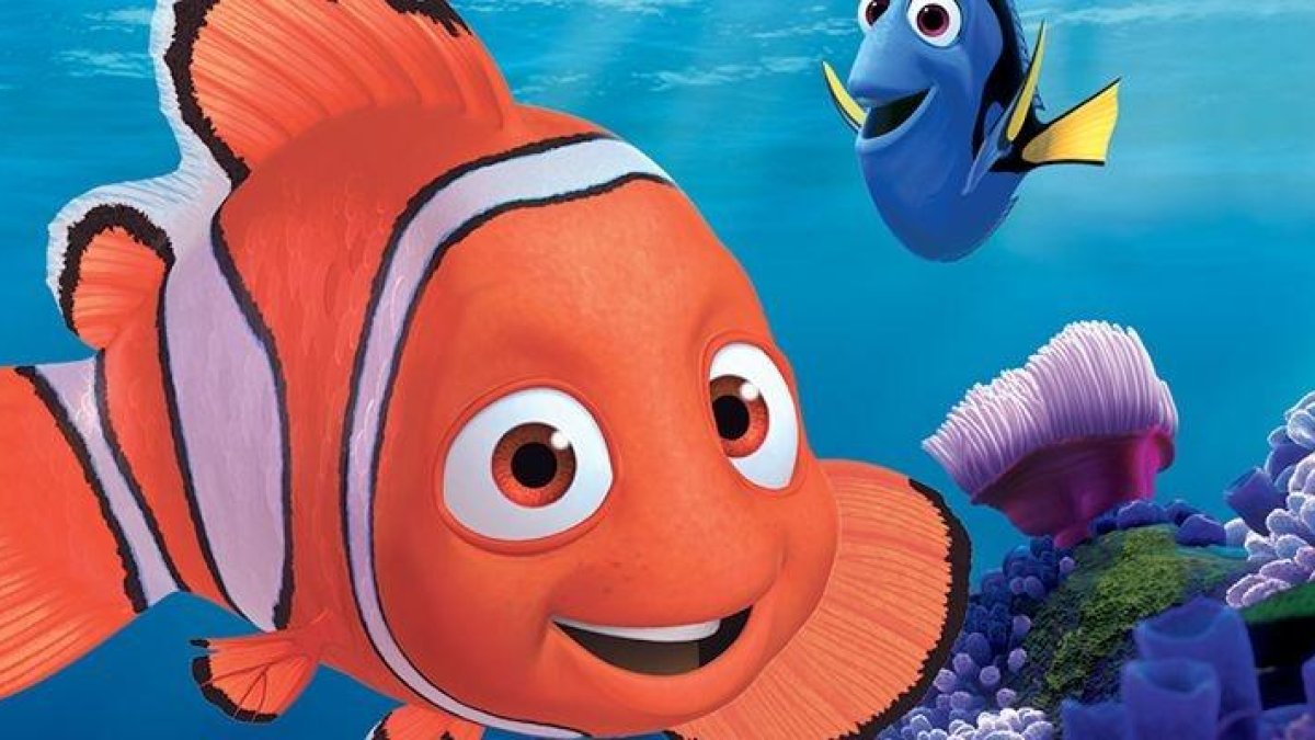 La película ‘Nemo’ ha contribuido a la leyenda sobre la mala memoria de los peces.