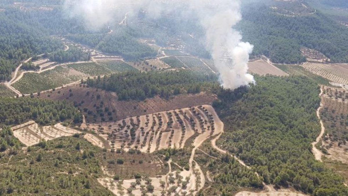 Columna del fuego localizadop en una zona forestal del término de Caseres, en La Terra Alta.