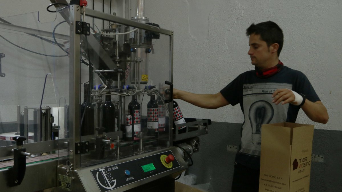 El president de la DO Tarragona trabajando en Mas Vicenç.