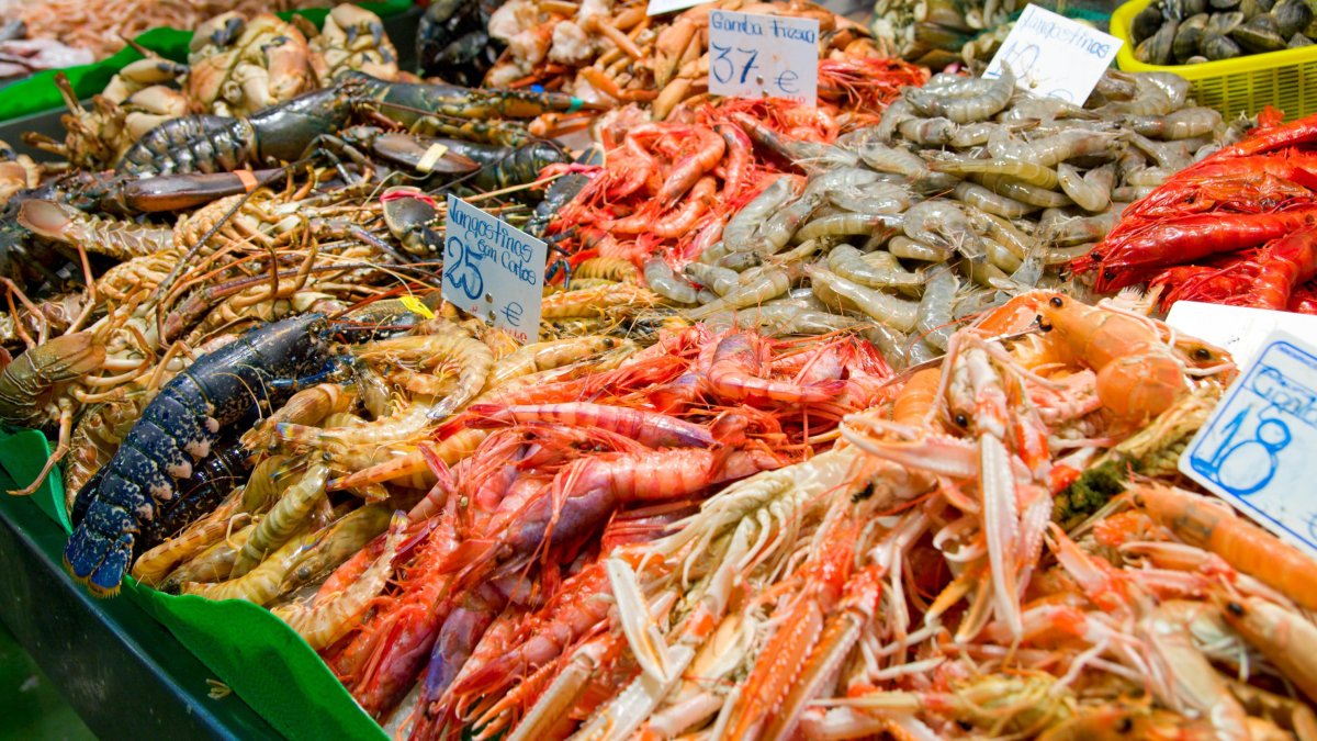 Es mejor consumir pescado salvaje, de proximidad, capturado con pesca extractiva y de temporada.