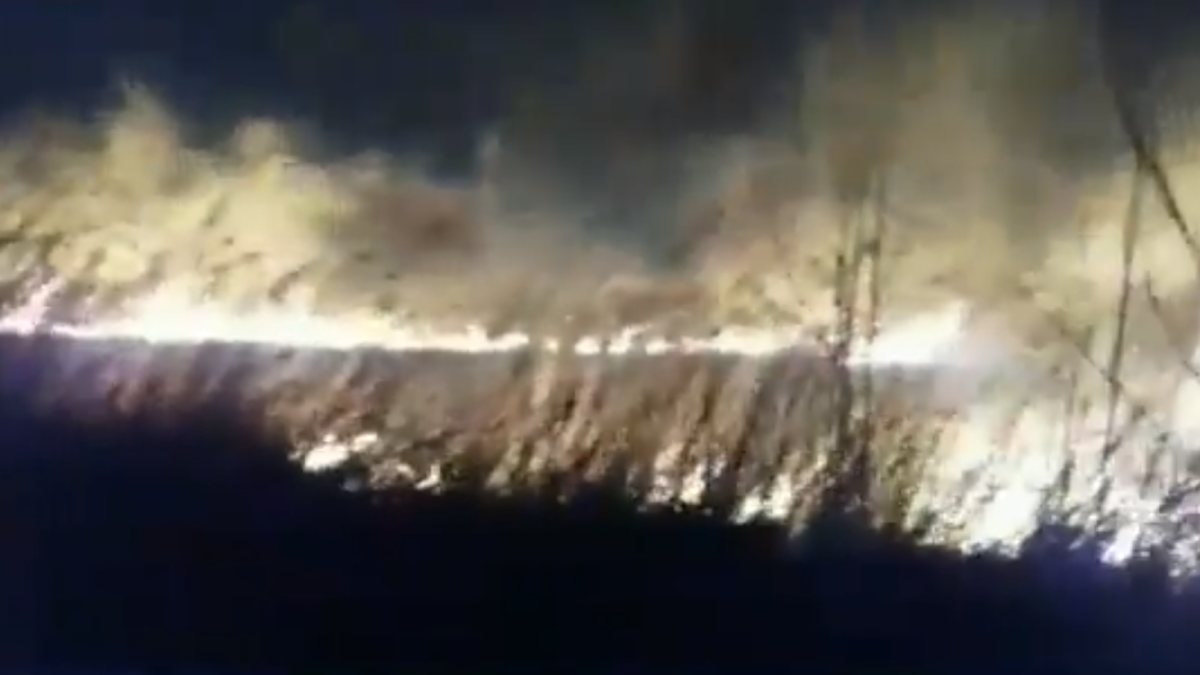 Imatge de l'incendi. BOMBERS