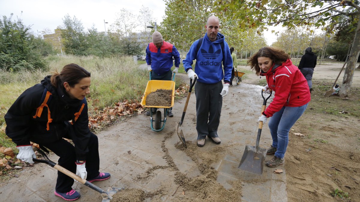 Una veintena de personas de distntos colectivos trabajaron como voluntarias.