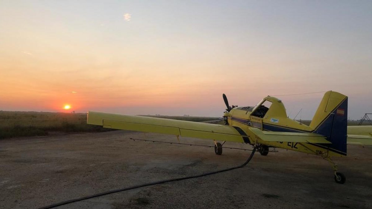 El COPATE fa un tractament en 475 hectàrees del Delta per evitar la proliferació de mosquits