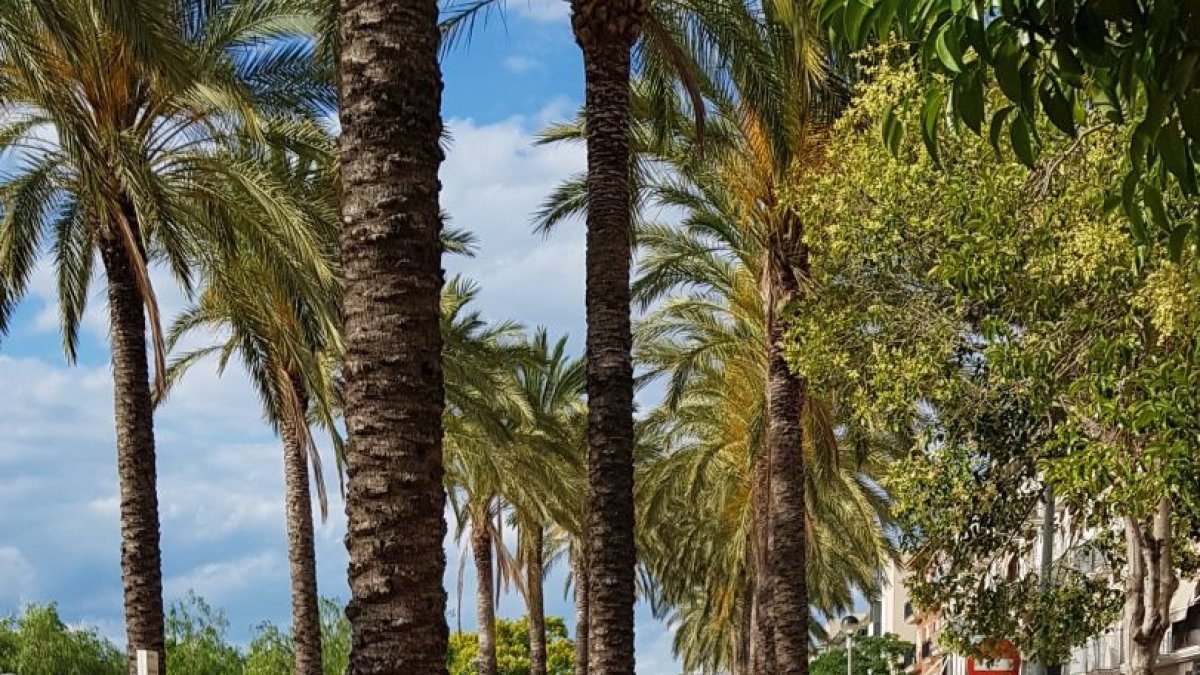 Obras de retirada de depósitos bajo tierra.