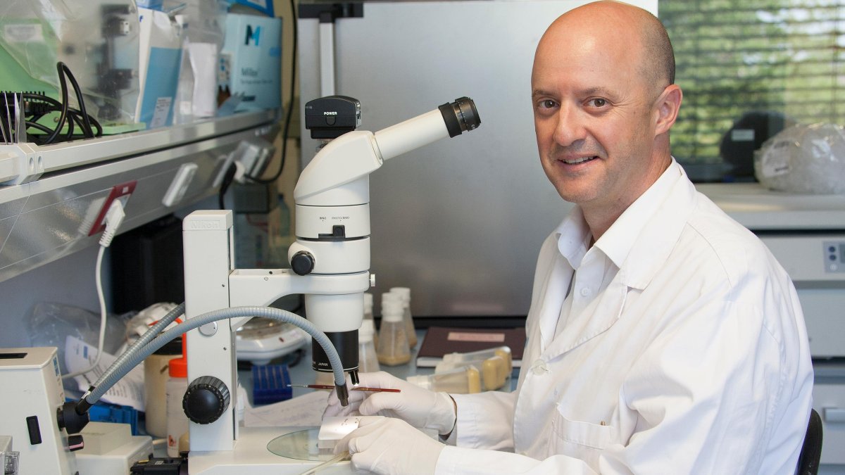 Pere-Joan Cardona Iglesias, doctor en Medicina y Cirugía e investigador biomédico; y Júlia Aragonès Pedrola, biotecnóloga y doctorando en química de proteínas ofrecerán una mesa redonda en Riudoms.