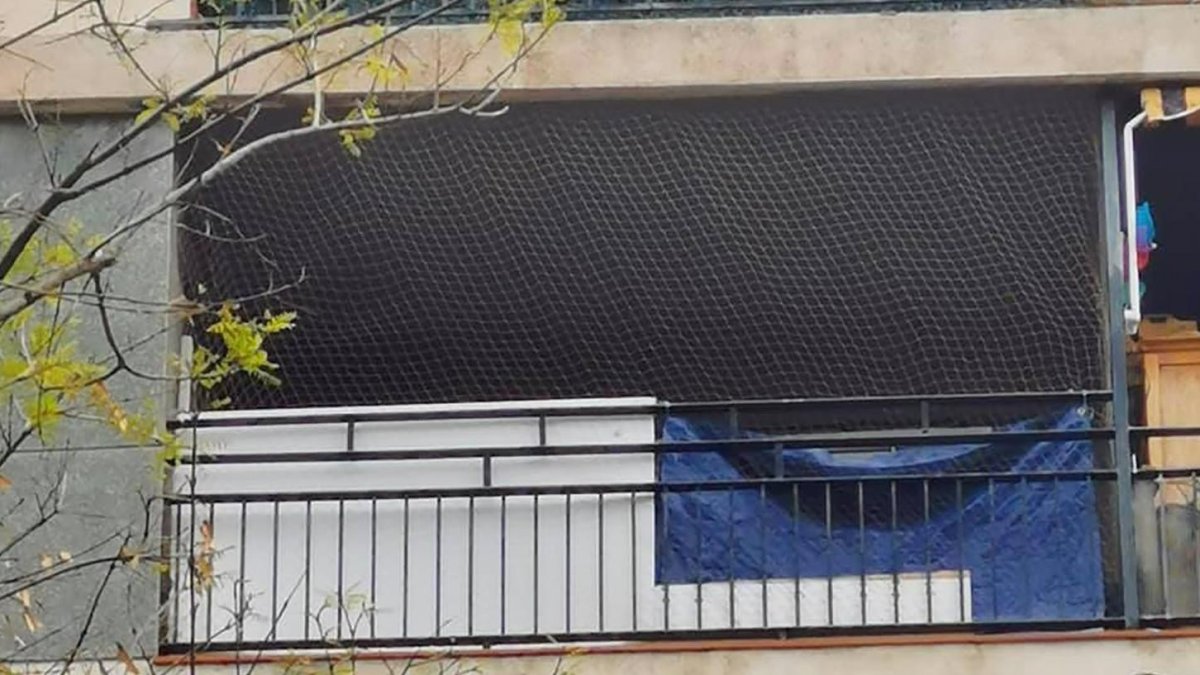 La vivienda está vacía y los dos ejemplares viven en un balcón que da a la Rambla Nova.