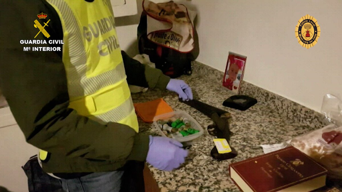 El fugitivo de un intento de homicidio en Torreforta que vigilaba una plantación de 'maría' en Miami Platja