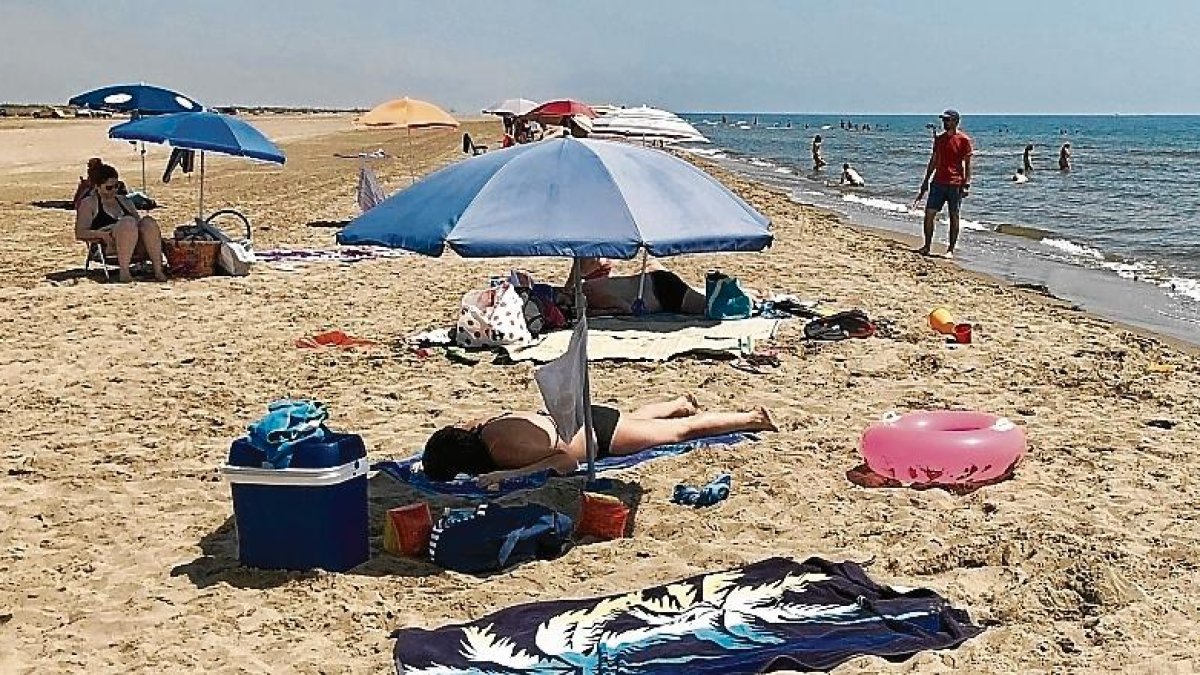 La platja d’Eucaliptus, al delta de l’Ebre.