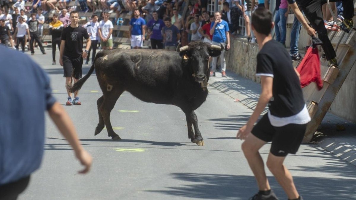 Imatge d'arxiu d'un correbous a l'Ebre.