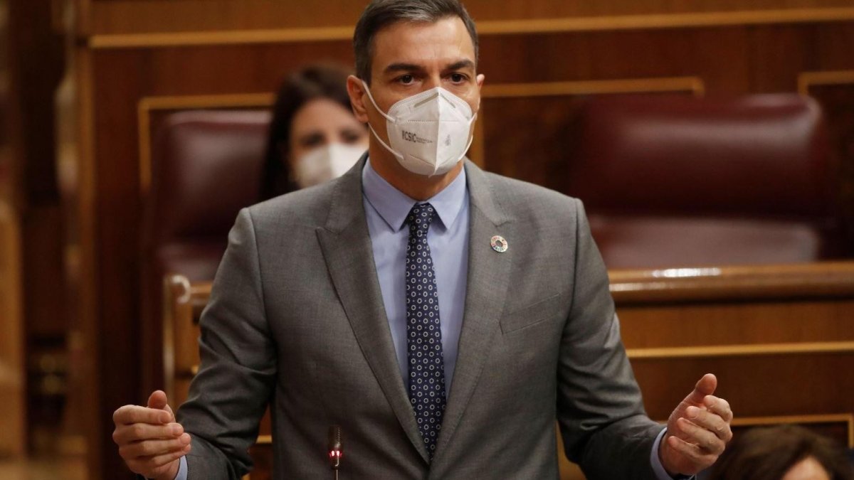 Pedro Sánchez durante su comparecencia en el Congreso de los Diputados. EFE