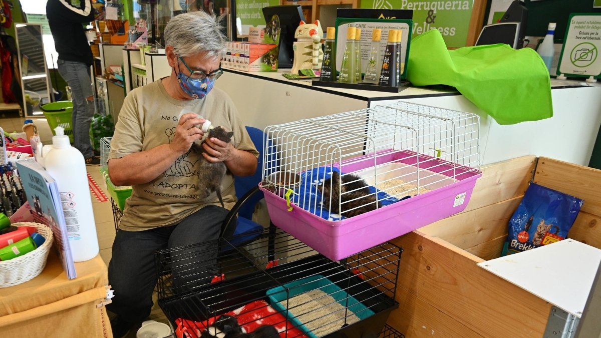 Herrera en la paradita de Tiendanimal en Les Gavarres.