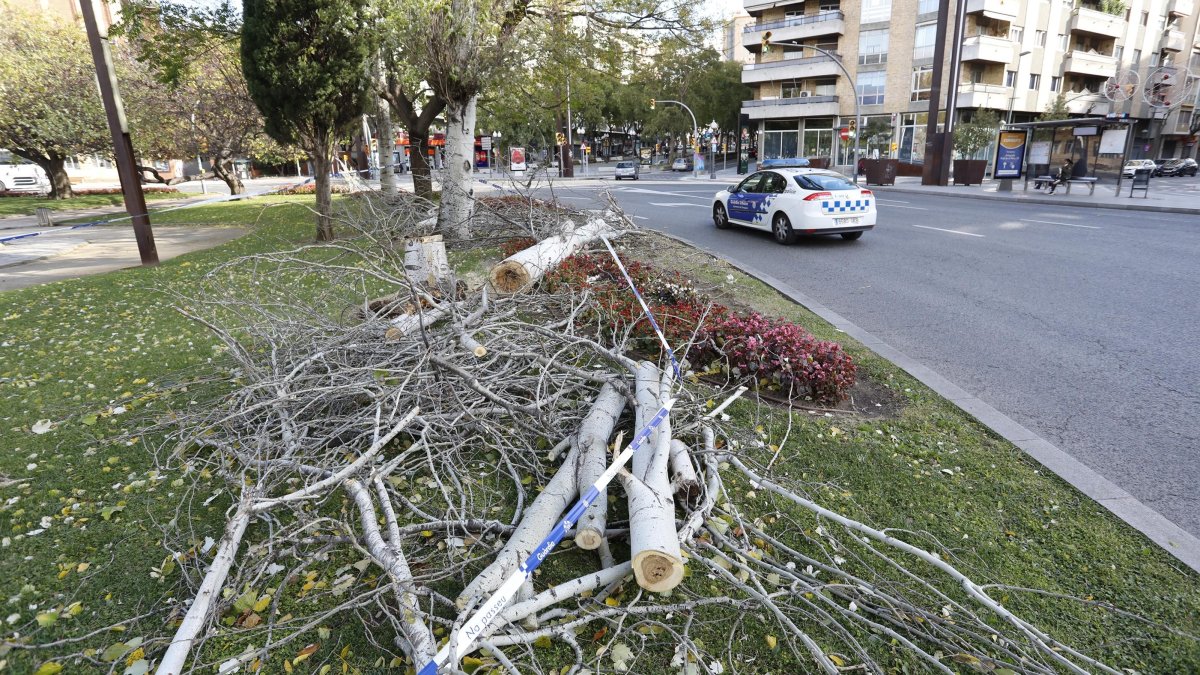 Imagen de los estragos que causó ayer en el viento en Tarragona.