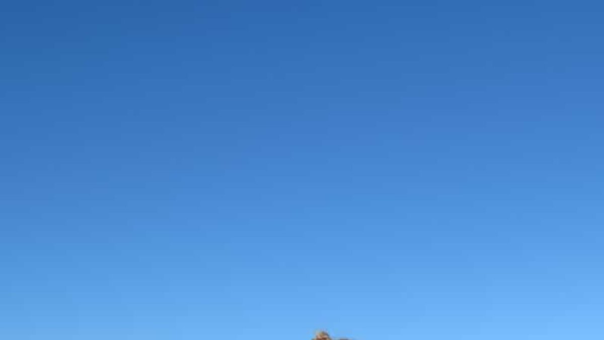 Covi Robles, durante uno de los tramos del exigente recorrido.