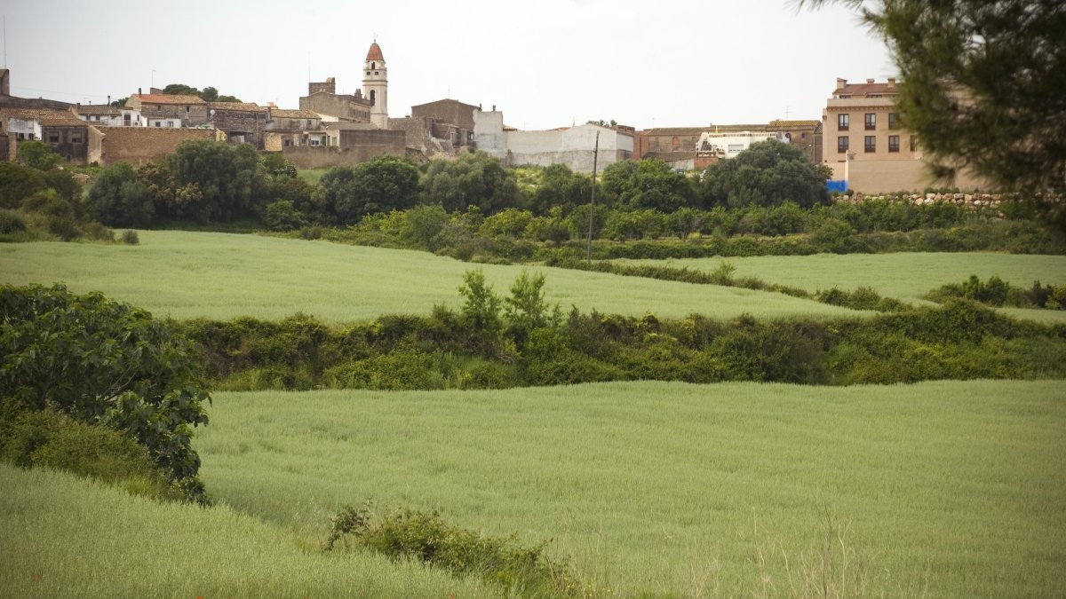 La Secuita reclama medidas para evitar ocupaciones