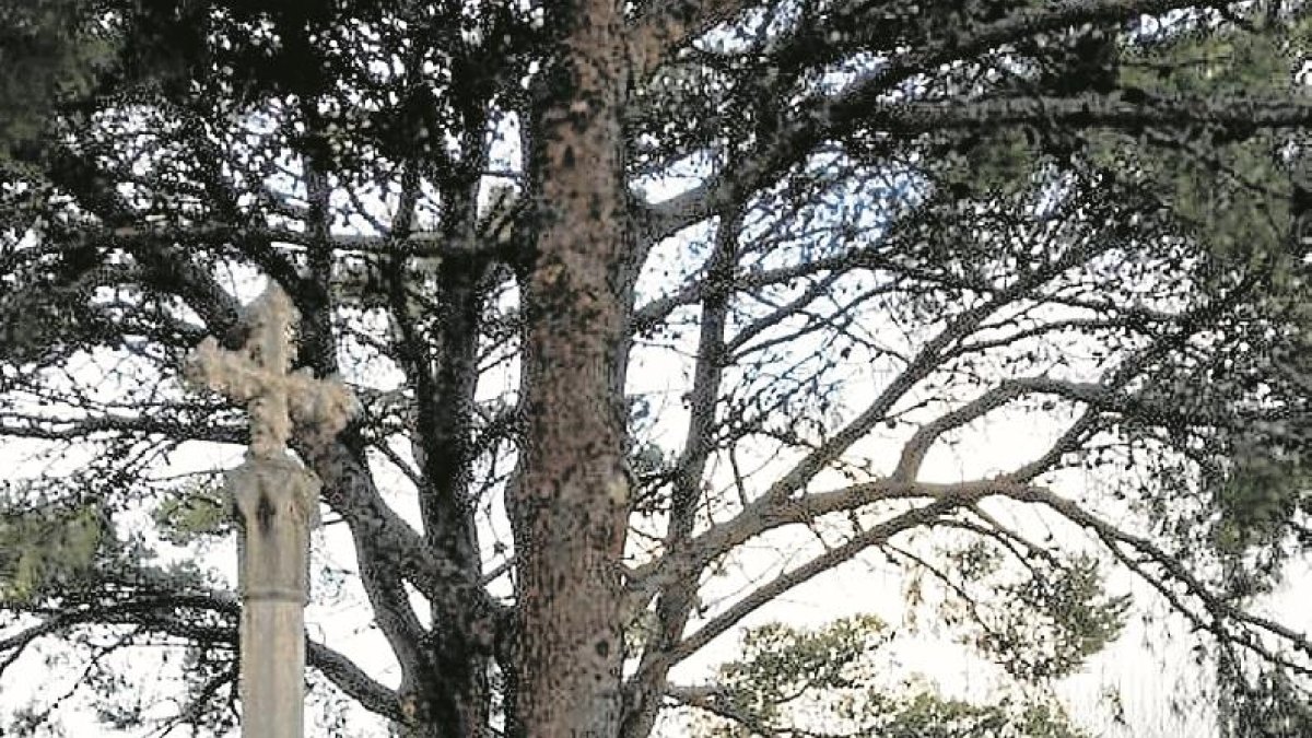A la Sénia s’ha optat per crear una rèplica de la creu que ja està instal•lada al parc  