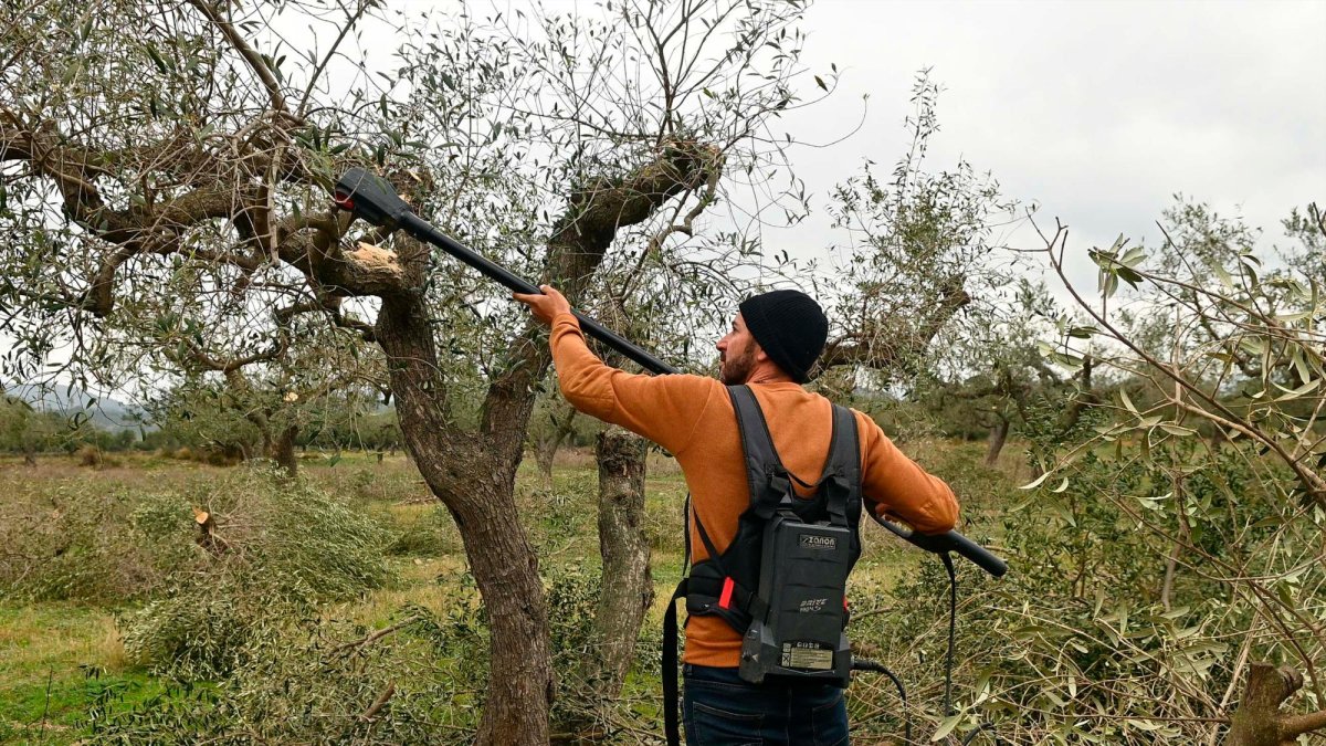 El proyecto del Mercat de Pagès surge del Banc de Terres.
