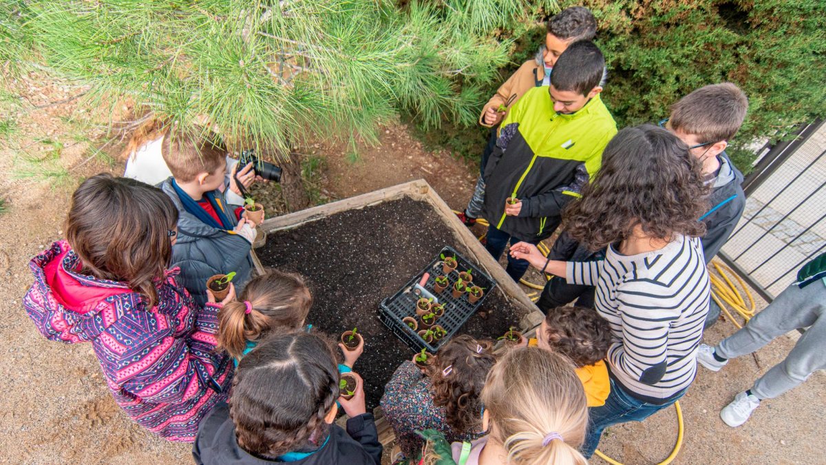 En las acciones de recuperación de hortalizas del Priorat, han participado también escolares.
