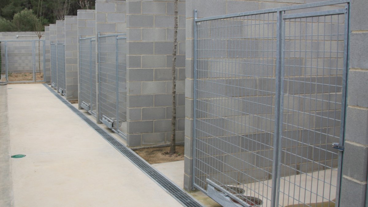 Se espera poder acoger también a animales de otras protectoras.