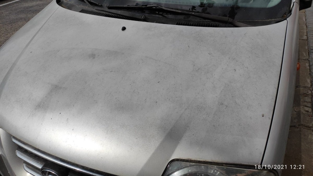 Uno de los coches aparcados y sucios por la presencia de esta plaga.