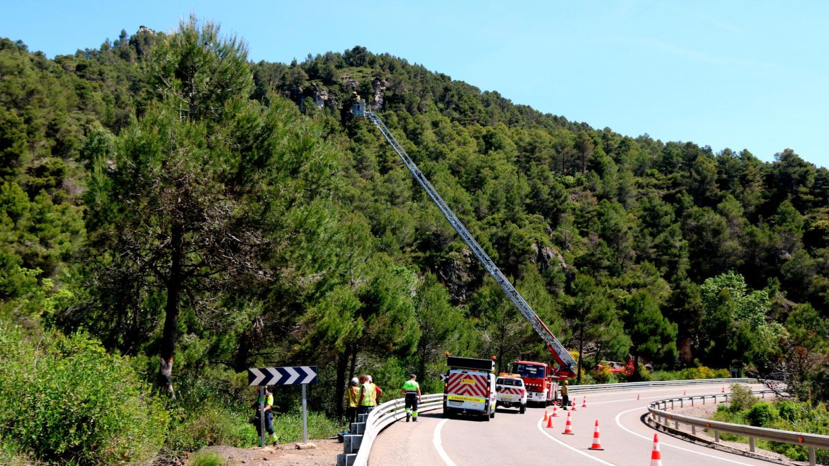 Los servicios de emergencia trabajando para encontrar a los ocupantes del vehículo.