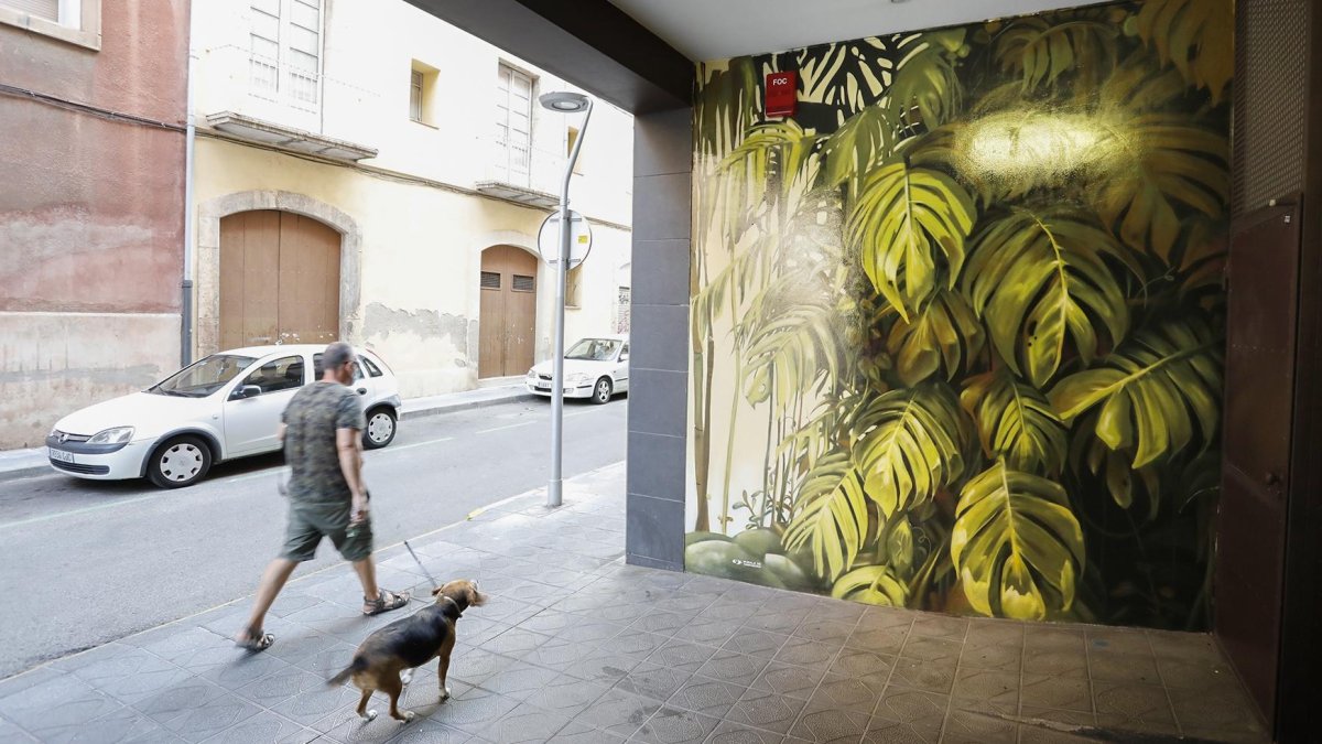 Imagen de la pared del edificio que se encuentra en la calle Castellarnau 9.