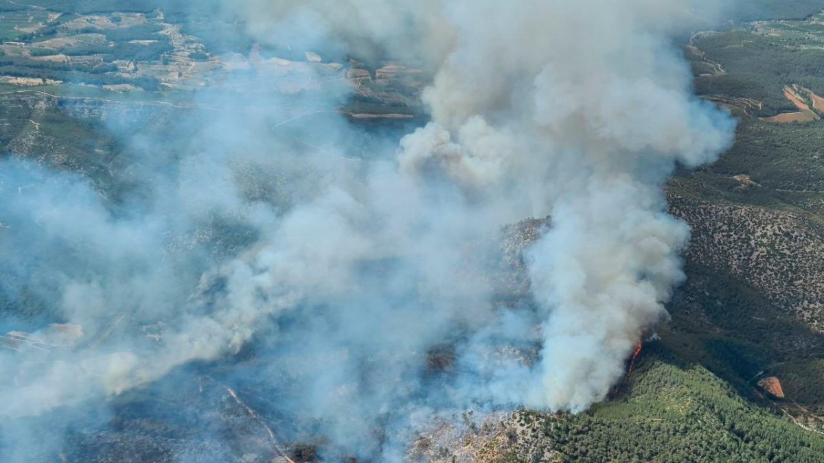 Los dos incendios afectaron a 184,86 hectáreas, de las que las 182,82 se encuentran dentro del espacio protegido del macizo del Garraf.