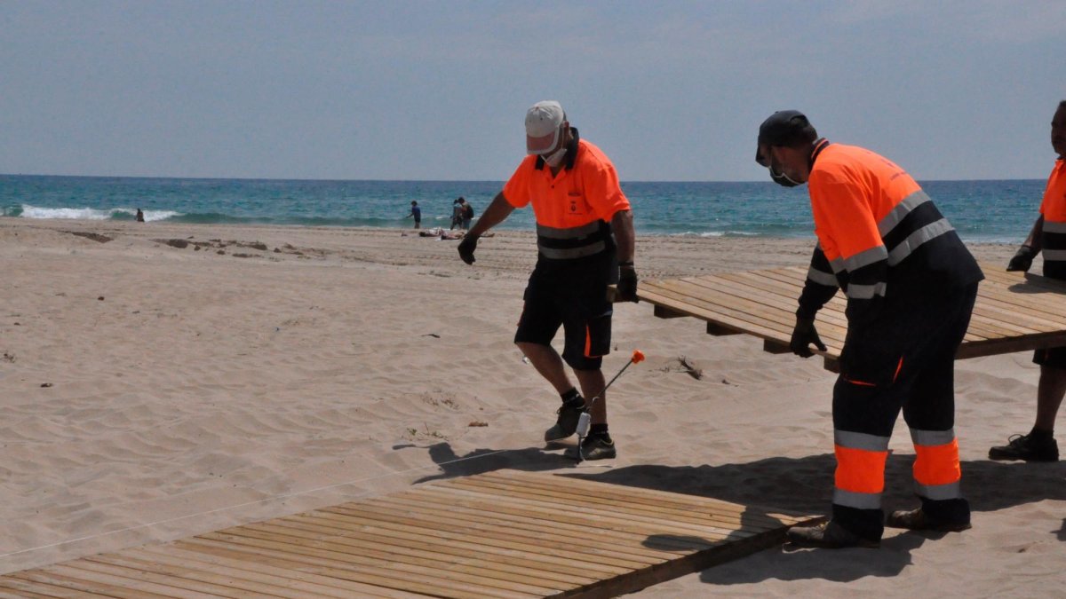 Operarios de la brigada colocando los pasos de madera en la playa.
