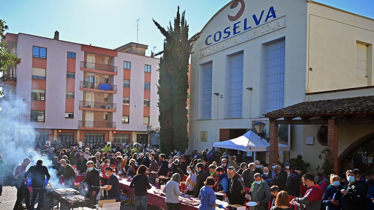 Festa de l’oli nou ANTARA a Selva del Camp