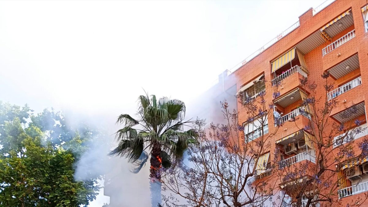 Bomberos trabajando en el incendio en la avenida Jaume I.