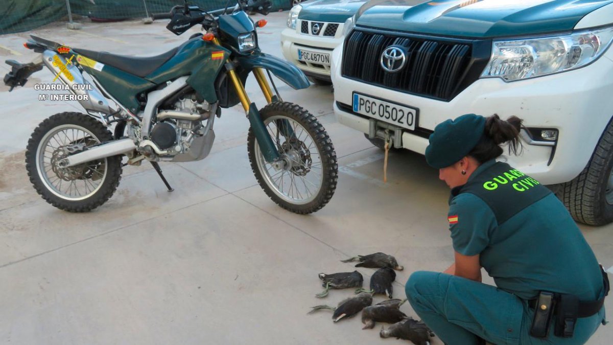 Una agente de la Guardia Civil, con los animales.