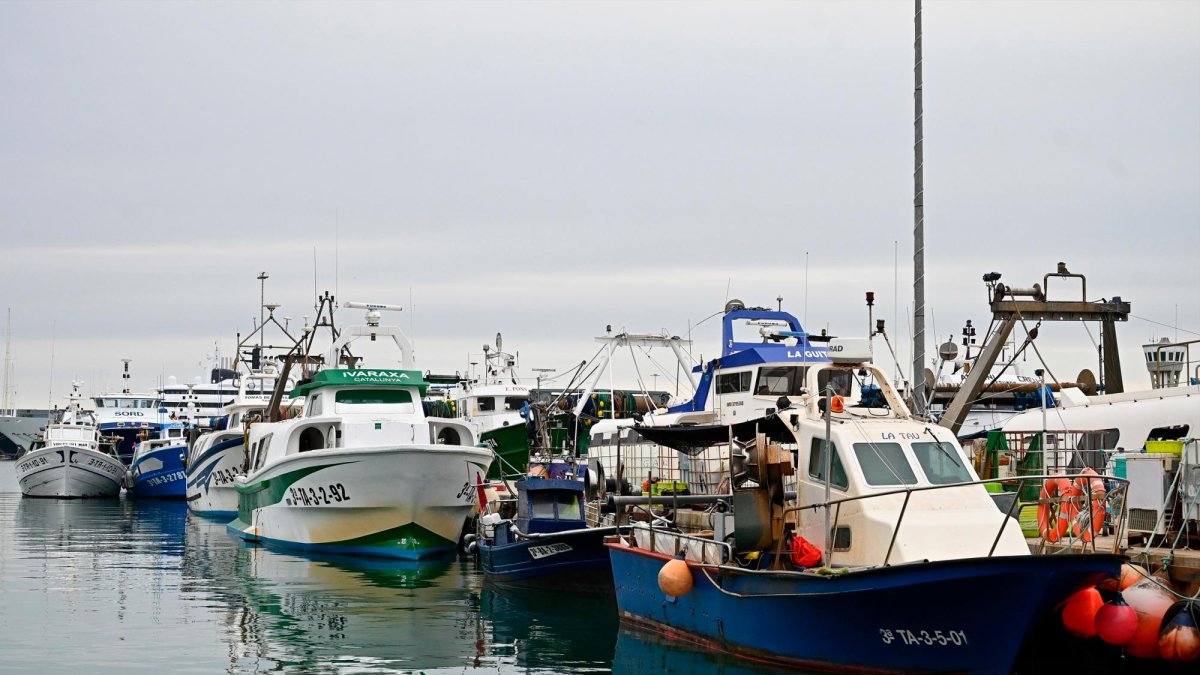 Actualmente, hay 24 embarcaciones del arrastre en Tarragona.