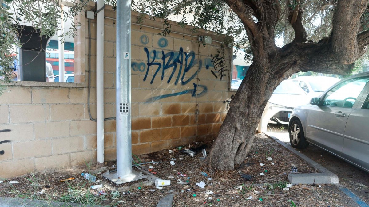 Detrás de la caseta donde se paga la zona azul hay basura.