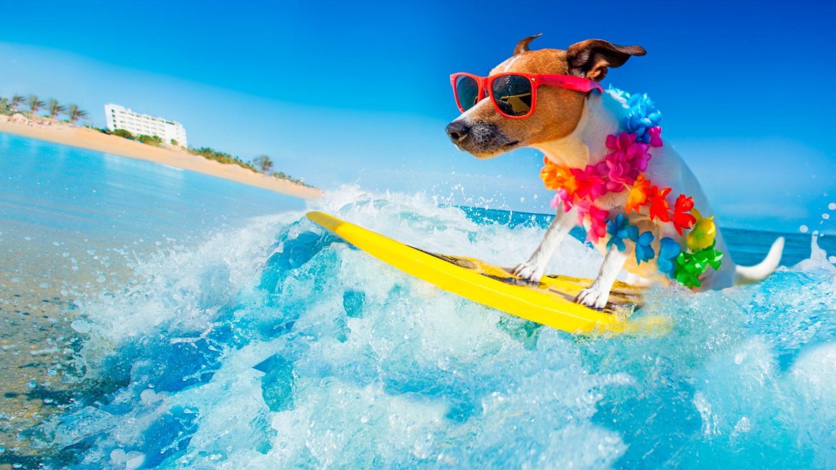 Ojo con el sol, evitar las horas de más calor.