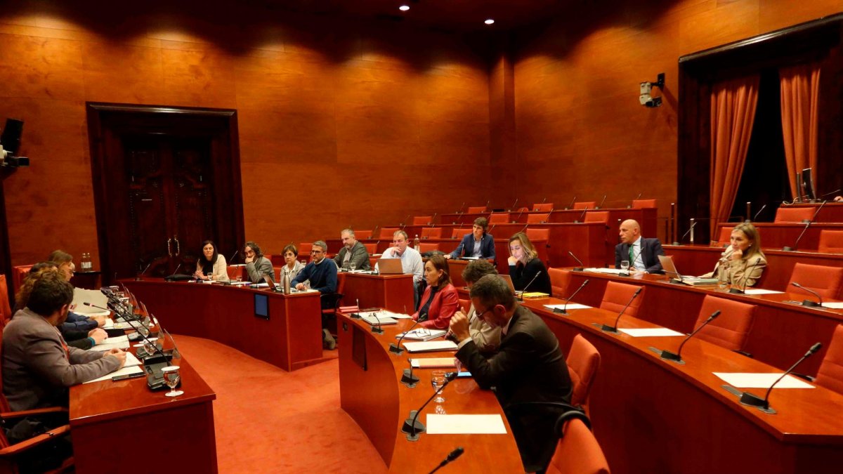 Imagen de la comisión parlamentaria del pasado 20 de abril.