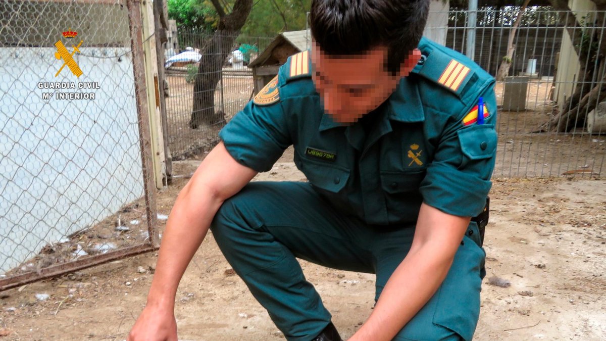 La Guardia Civil recibió el aviso de la presencia en cautividad de animales de especies protegidas.