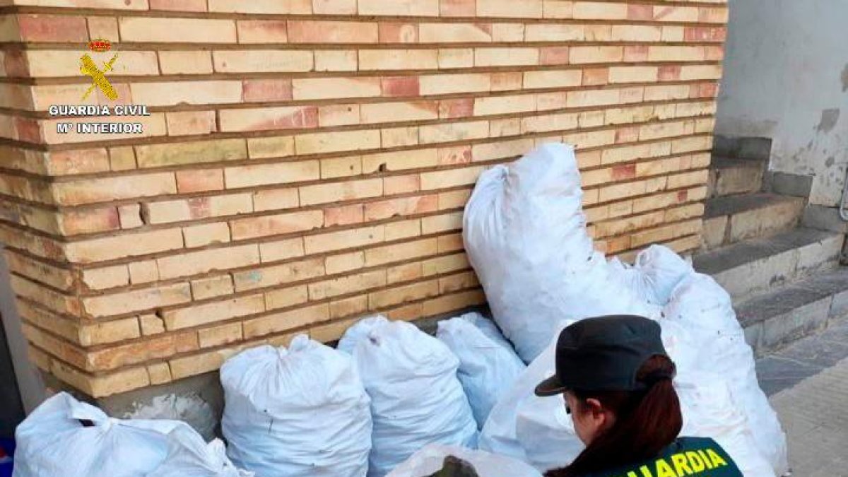 Imagen de los sacos de algarroba incautados en Tortosa.