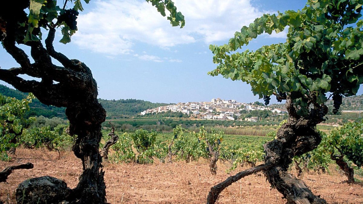 Imagen de archivo. DT