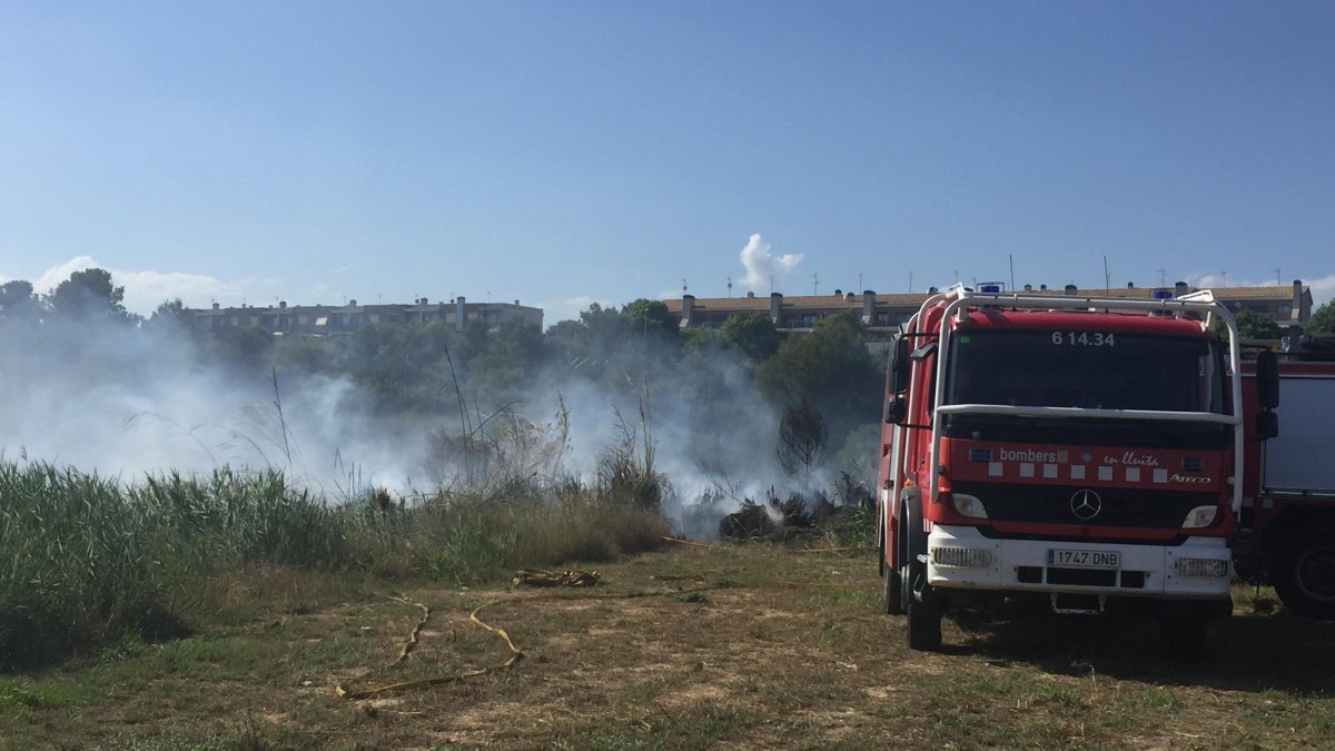 Las llamas han prendido en un cañizal en la zona de Sant Salvador de El Vendrell.