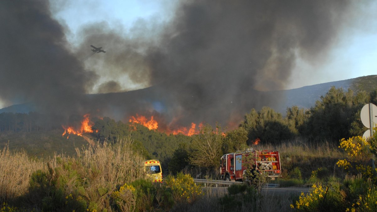 Bomberos acudiendo al incendio de Montferri mientras una avioneta descarga agua sobre las llamas el pasado 12 de mayo.