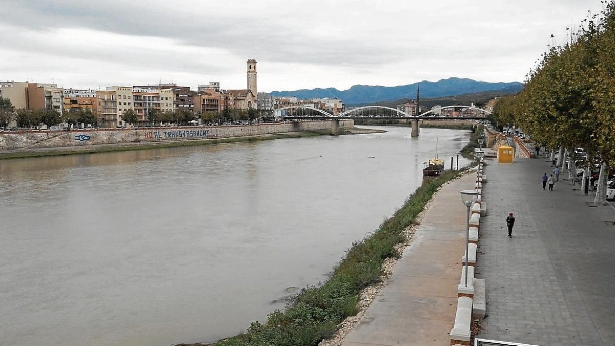 Les intenses pluges han millorat discretament el cabal de l‘Ebre, ahir a Tortosa.