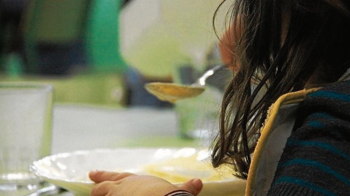 L’ens comarcal ha atorgat un 75,24% de les 5.134 sol·licituds presentades en la convocatòria.