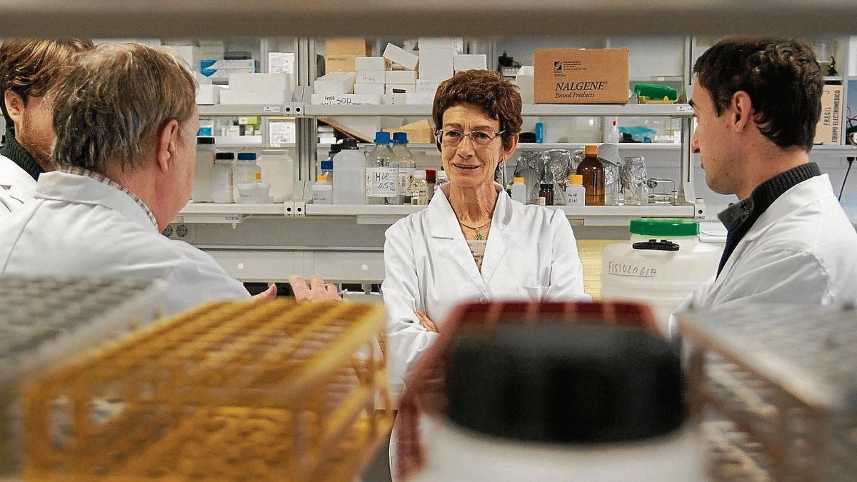 La doctora Marta Schuhmacher, en un laboratorio en la URV.